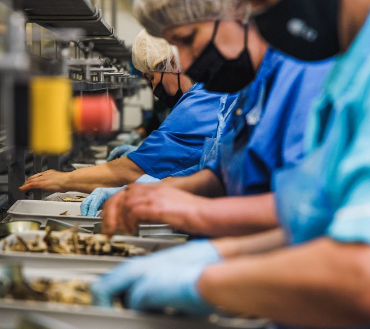 New, motivating salary system