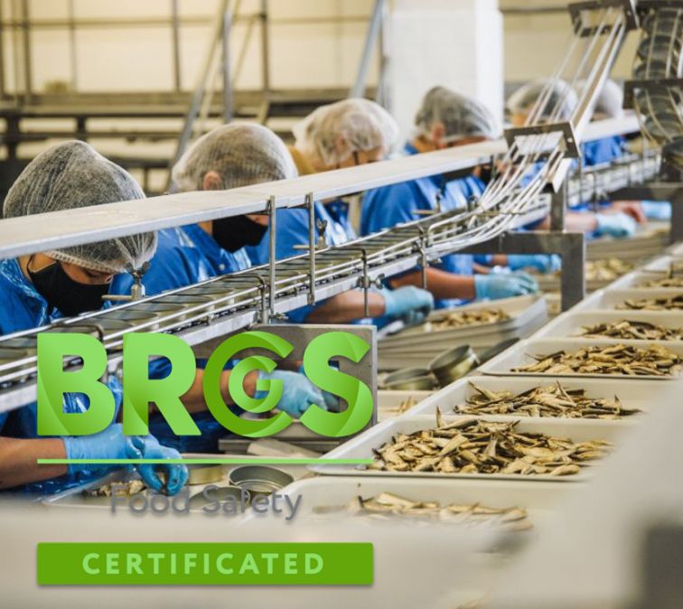 Annual BRCGS audit results