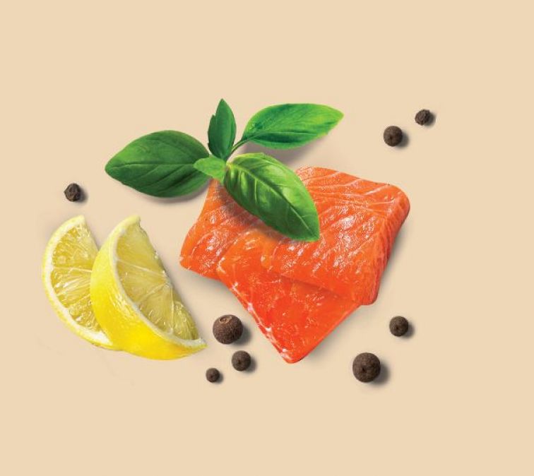 New range of Salmon products